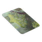 フレキシブルフォトマグネット マグネット (右側)