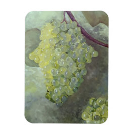 フレキシブルフォトマグネット マグネット