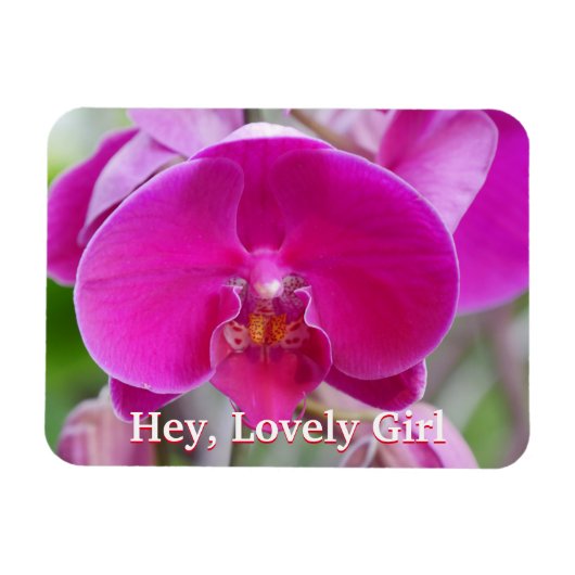 フレキシブルフォトマグネット マグネット (横)