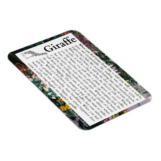 フレキシブルフォトマグネット マグネット