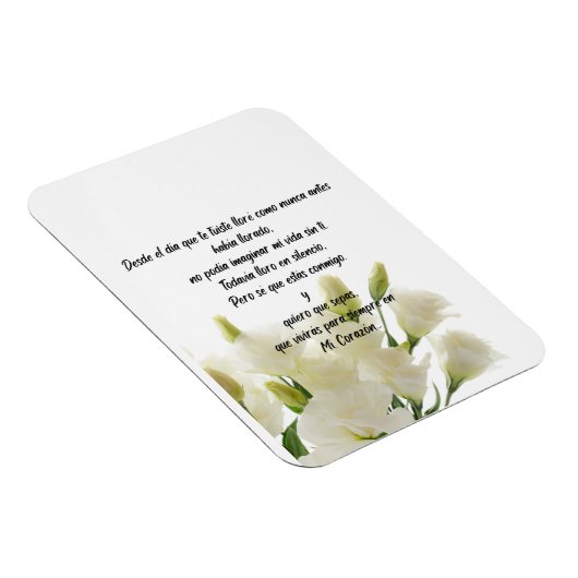 フレキシブルフォトマグネット マグネット (右側)