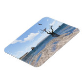 フレキシブルフォトマグネット マグネット (左側)