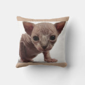 フレクイかわいい毛皮のスフィンクス子猫 クッション (裏面)