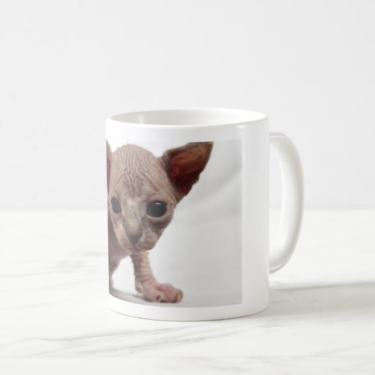 フレクイかわいい毛皮のスフィンクス子猫 コーヒーマグカップ (正面右)
