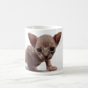 フレクイかわいい毛皮のスフィンクス子猫 コーヒーマグカップ
