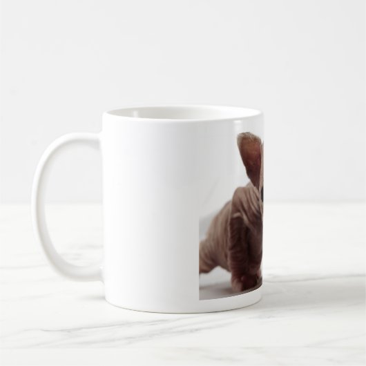 フレクイかわいい毛皮のスフィンクス子猫 コーヒーマグカップ (左)