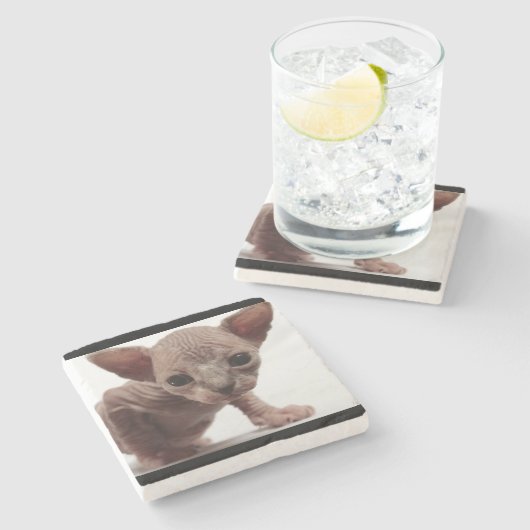 フレクイかわいい毛皮のスフィンクス子猫 ストーンコースター (横)