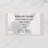 フレクイかわいい毛皮のスフィンクス子猫 名刺 (裏面)