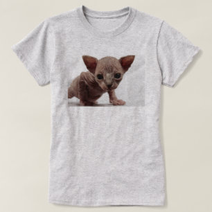 フレクイかわいい毛皮のスフィンクス子猫 Tシャツ