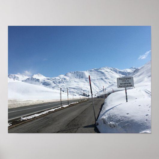 フレクセンパス ポスター (正面)