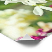 フレグランスガーデン フォトプリント            (角)