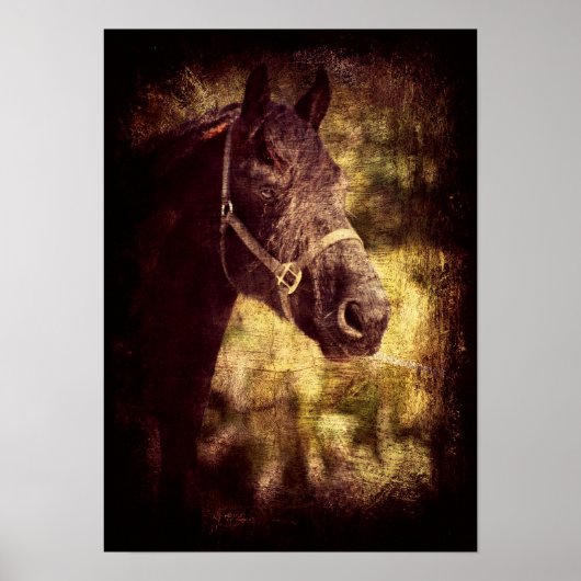 フレシアグランジン ポスター (正面)