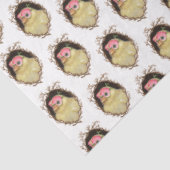 フレシーザピープティッシュペーパー 薄葉紙 (詳細)