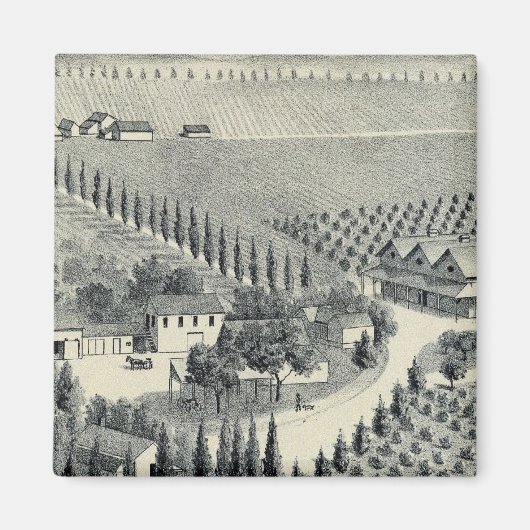 フレズノ・エガース・ヴィンヤード マグネット (正面)