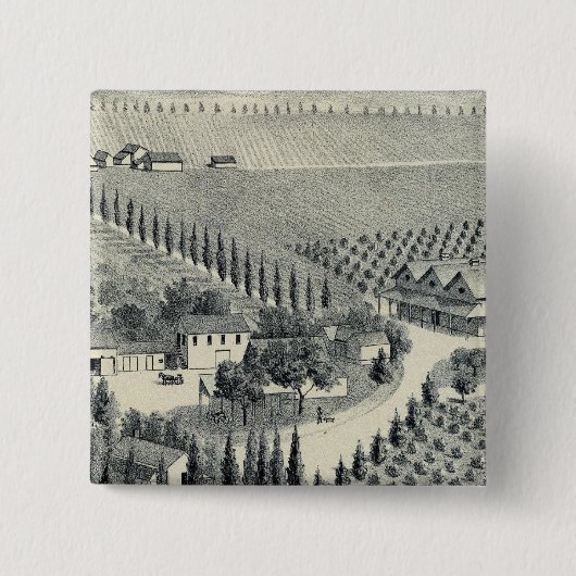 フレズノ·エッガーズ·ビネヤード 缶バッジ (正面)