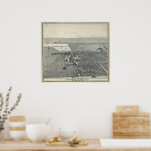 フレズノ・ロカン・ヴィンヤード ポスター (キッチン)