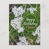 フレッシュなグリーンとホワイトの花 ハッピーバースデー ママ ポストカード (正面)