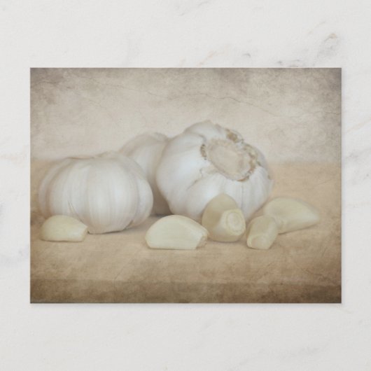 フレッシュなニンニク ポストカード (正面)