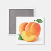 フレッシュアプリコット マグネット (正面/裏面)