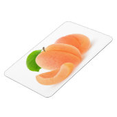 フレッシュアプリコット マグネット (左側)