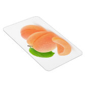 フレッシュアプリコット マグネット (右側)