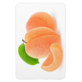 フレッシュアプリコット マグネット (縦)