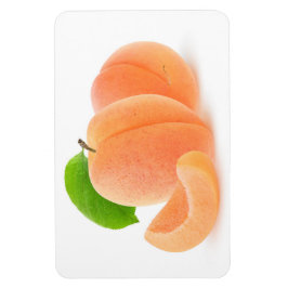 フレッシュアプリコット マグネット