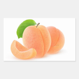 フレッシュアプリコット 長方形シール