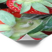 フレッシュイチゴ2 ポスター (角)