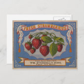 フレッシュイチゴ ポストカード (正面/裏面)