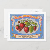 フレッシュイチゴ ポストカード (正面/裏面)