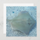 フレッシュウォーターカイチョウザメの招待状 招待状 (正面/裏面)