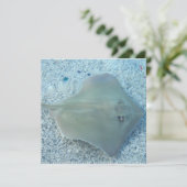 フレッシュウォーターカイチョウザメの招待状 招待状 (スタンド正面)