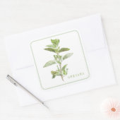 フレッシュオレガノラージスクエアステッカー スクエアシール (封筒)