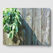 フレッシュカットのセージのバーンワッド ゲストブック (裏面)