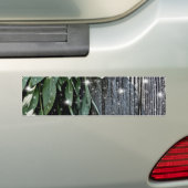 フレッシュカットのセージBarn-wood Twinkle Lights バンパーステッカー (車上)