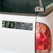 フレッシュカットのセージBarn-wood Twinkle Lights バンパーステッカー (トラック上)