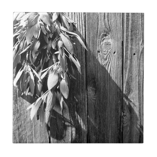 フレッシュカットSage Barn-woodグレースケール タイル (正面)