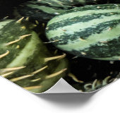 フレッシュカメロン ポスター (角)