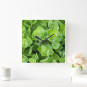 フレッシュグリーン春離れ スクエア壁時計 (ホーム)