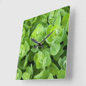 フレッシュグリーン春離れ スクエア壁時計 (傾斜)