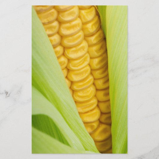 フレッシュコーンカスタムチラシ チラシ (正面)