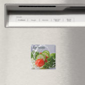 フレッシュサラダ磁石 マグネット (インサイチュ (食洗機))