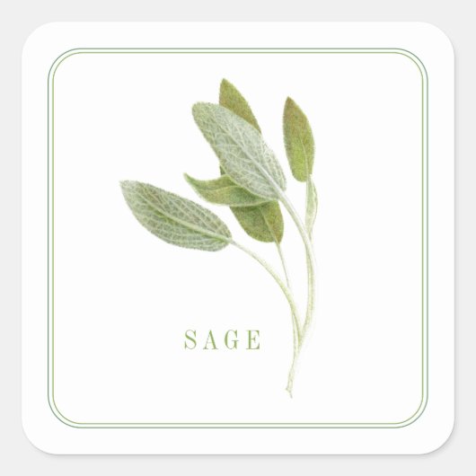 フレッシュセージ小さな正方形のステッカー スクエアシール (正面)