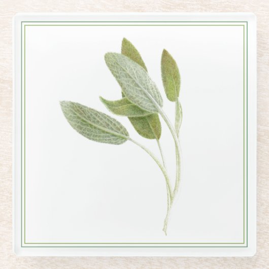 フレッシュセージ飲料用コースター(-文字) ガラスコースター (正面)