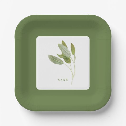 フレッシュセージ7インチスクエア紙プレート – 緑 ペーパープレート (正面)