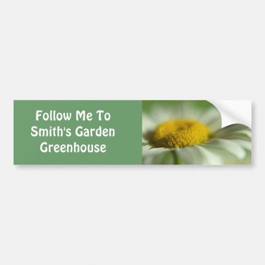 フレッシュデイジー バンパーステッカー (正面)