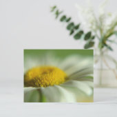 フレッシュデイジー ポストカード (スタンド正面)