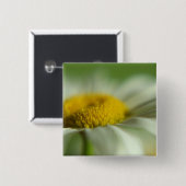 フレッシュデイジー 缶バッジ (正面&裏面)