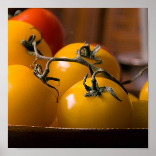 フレッシュトマト ポスター (正面)